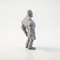 Mô hình in 3D Dwayne Johnson (The Rock) - Phim & Truyền hình - Thumbnail 3