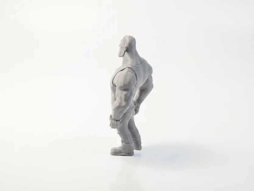 Mô hình in 3D Dwayne Johnson (The Rock) - Phim & Truyền hình - Image 4