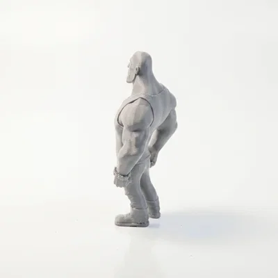 Mô hình in 3D Dwayne Johnson (The Rock) - Phim & Truyền hình