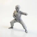 Mô hình Jackie Chan biểu tượng võ thuật - File in 3D sưu tầm - Thumbnail 1