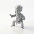 Mô hình 3D Thành Long võ thuật in ấn được - Thumbnail 1