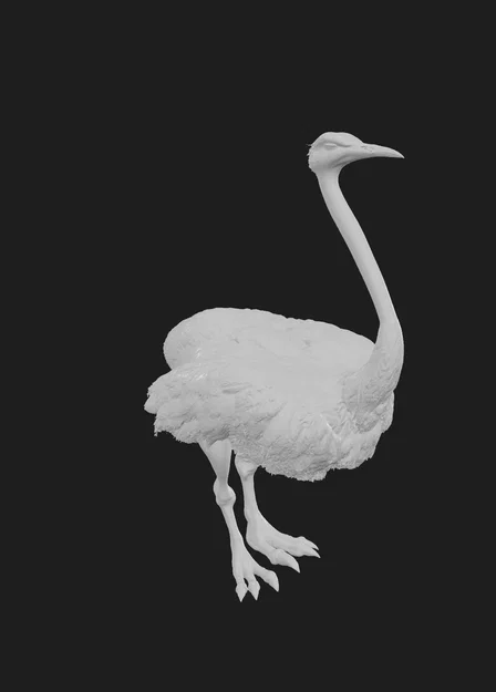 Mô hình chú đà điểu (Mr Ostrich) tinh xảo để in 3D - Image 1