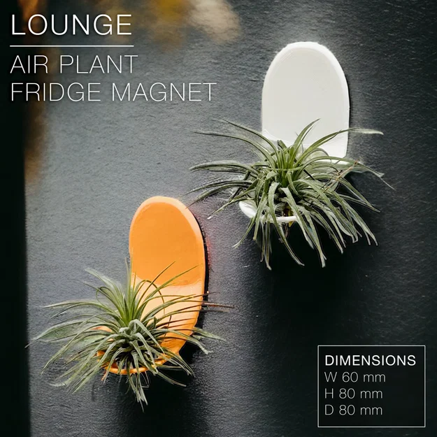 LOUNGE | Chậu gắn tủ lạnh trồng cây không khí - Image 1