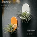 LOUNGE | Chậu gắn tủ lạnh trồng cây không khí - Thumbnail 1