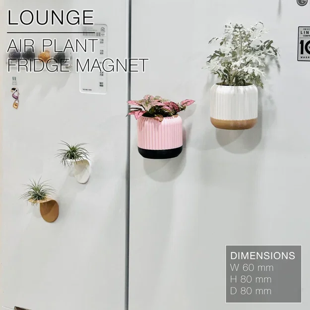 LOUNGE | Chậu gắn tủ lạnh trồng cây không khí - Image 2