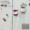 LOUNGE | Chậu gắn tủ lạnh trồng cây không khí - Thumbnail 2