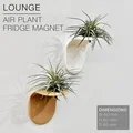 LOUNGE | Chậu gắn tủ lạnh trồng cây không khí - Thumbnail 3
