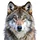 paddybuss_3303079