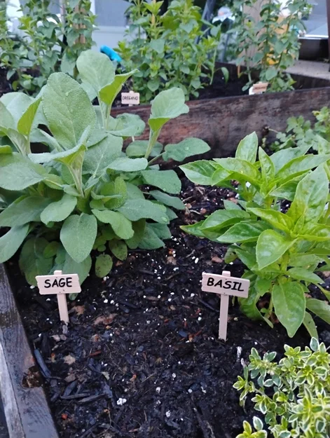 Thẻ Cắm Đánh Dấu Cây Trồng (Plant Tags) - Image 1
