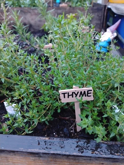 Thẻ Cắm Đánh Dấu Cây Trồng (Plant Tags) - Image 2