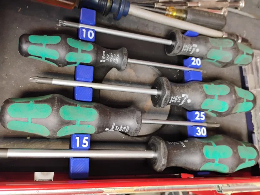 Giá đỡ tua vít Wera Torx thông minh - Giải pháp sắp xếp công cụ gọn gàng - Image 1