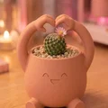 Chậu Cây Hình Trái Tim - Mẫu Decor Dễ Thương - Thumbnail 4