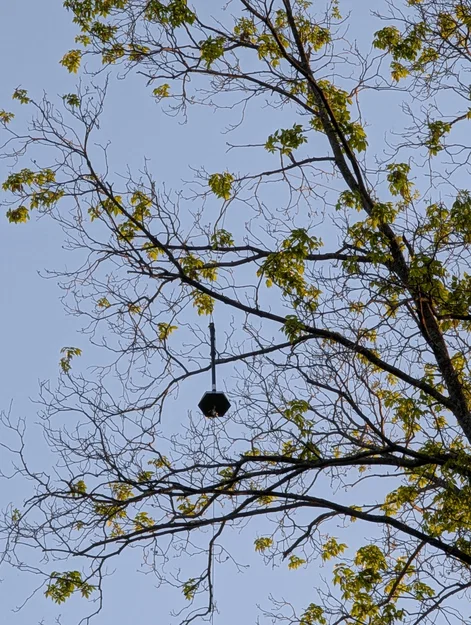 Mini-Rattlesnake Hanging Meshcore Tree Node - Image 15
