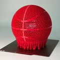 Quả bóng rổ 3D dạng lưới (Airless Basketball) in tại nhà cực chất - Thumbnail 5