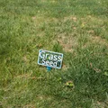 Biển báo gieo hạt cỏ (Grass Seed Sign) - Thumbnail 3