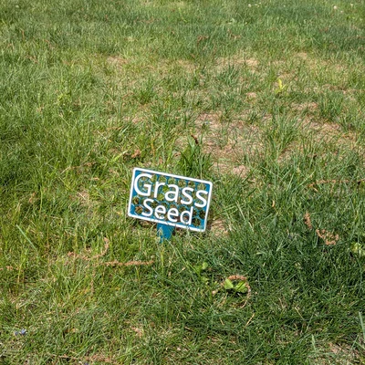 Biển báo gieo hạt cỏ (Grass Seed Sign)