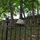 CGrassin_217772