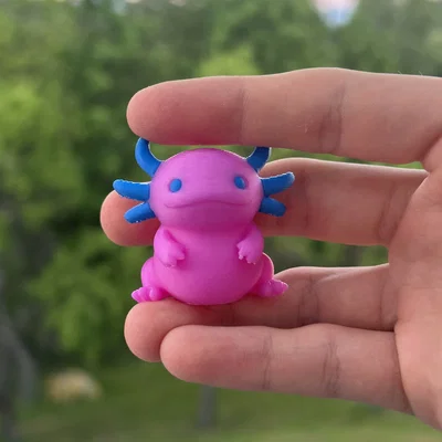 Tượng Axolotl Mũm Mĩm Đáng Yêu (Dễ In & Hỗ Trợ MMU)