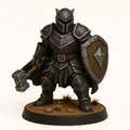 Bộ sưu tập Knights and Rangers Guild của LordMacaroni - Thumbnail 3
