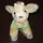 Laurence__300199
