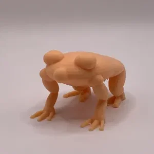 Mô hình 3D Da Prog: Chú ếch độc lạ cho bộ sưu tập của bạn