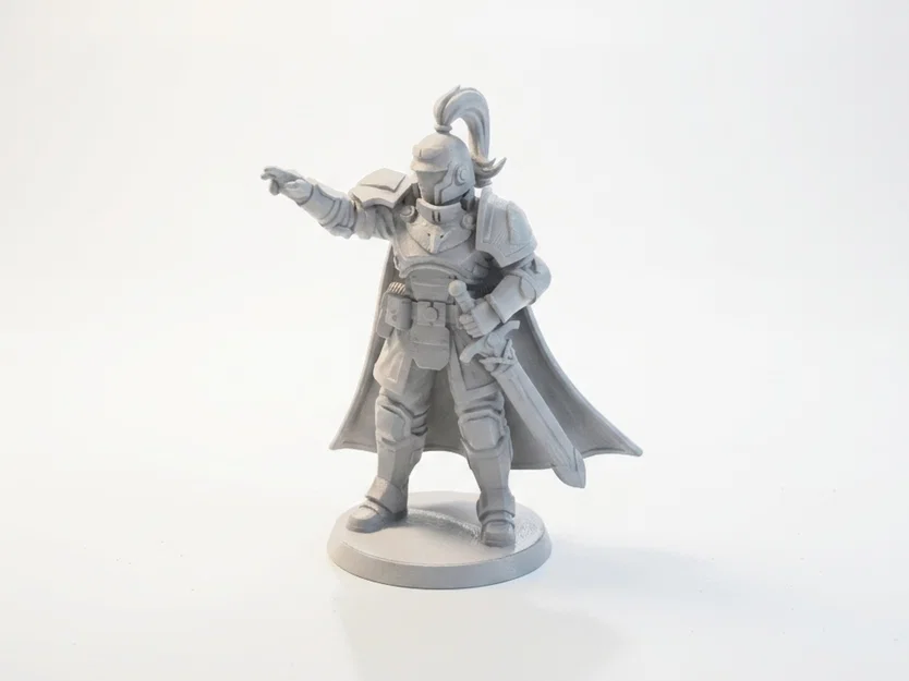 Mô hình Hiệp sĩ chỉ tay phong cách Medieval Fantasy in 3D - Image 1