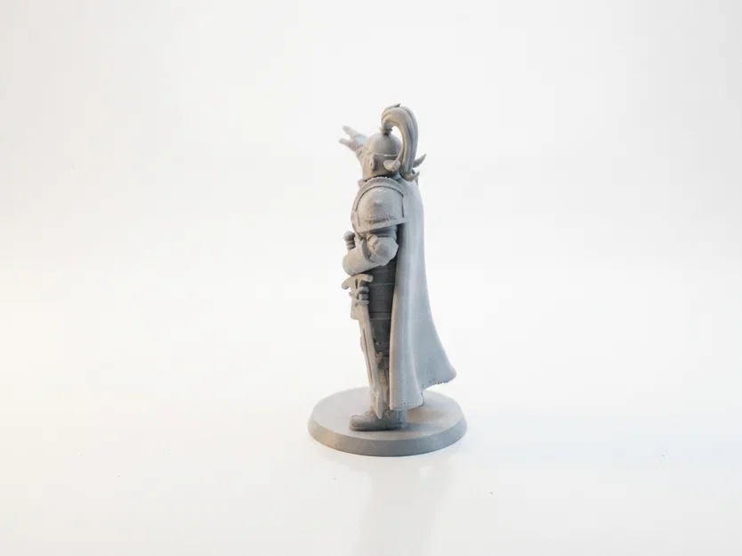 Mô hình Hiệp sĩ chỉ tay phong cách Medieval Fantasy in 3D - Image 4