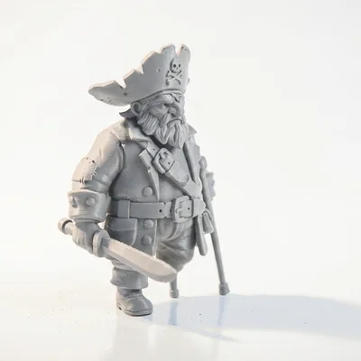 Mô hình Samurai cướp biển - Mẫu in 3D giả tưởng độc đáo