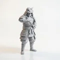 Mô hình Samurai Chiến Binh - Tượng Fantasy in 3D - Thumbnail 2