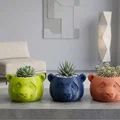 Chậu Trồng Sen Đá Hình Gấu Trúc In 3D - Thumbnail 1