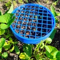 Mô hình lưới bảo vệ đa năng dạng tham số (Tròn hoặc Hình chữ nhật) - Thumbnail 3
