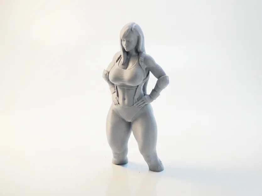 Mô Hình Nữ Võ Sĩ MMA Quyến Rũ - File In 3D - Image 1
