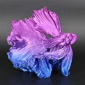 Tượng cá chọi (Betta) in 3D nghệ thuật trang trí để bàn - Thumbnail 1