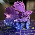 Tượng cá chọi (Betta) in 3D nghệ thuật trang trí để bàn - Thumbnail 2