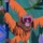 Willi_121319