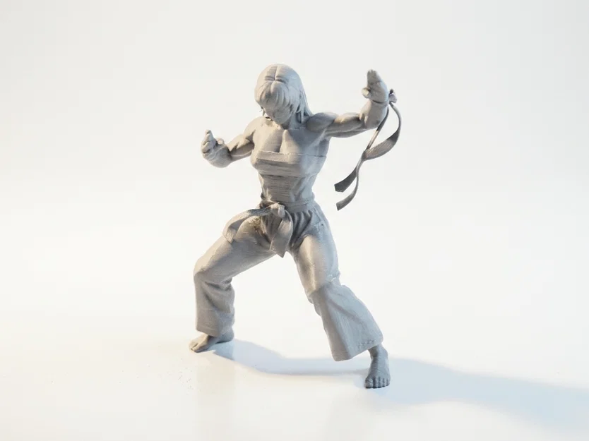 Mô hình 3D Võ Sĩ Karate Nữ - Tượng Võ Thuật Sắc Nét - Image 1