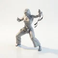 Mô hình 3D Võ Sĩ Karate Nữ - Tượng Võ Thuật Sắc Nét - Thumbnail 1