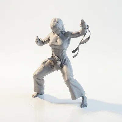 Mô hình 3D Võ Sĩ Karate Nữ - Tượng Võ Thuật Sắc Nét