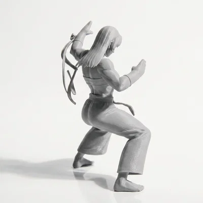 Mô hình 3D Võ Sĩ Karate Nữ - Tượng Võ Thuật Sắc Nét