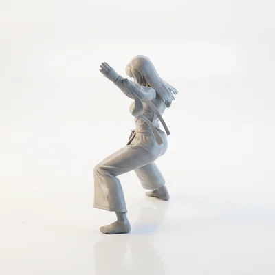 Mô hình 3D Võ Sĩ Karate Nữ - Tượng Võ Thuật Sắc Nét