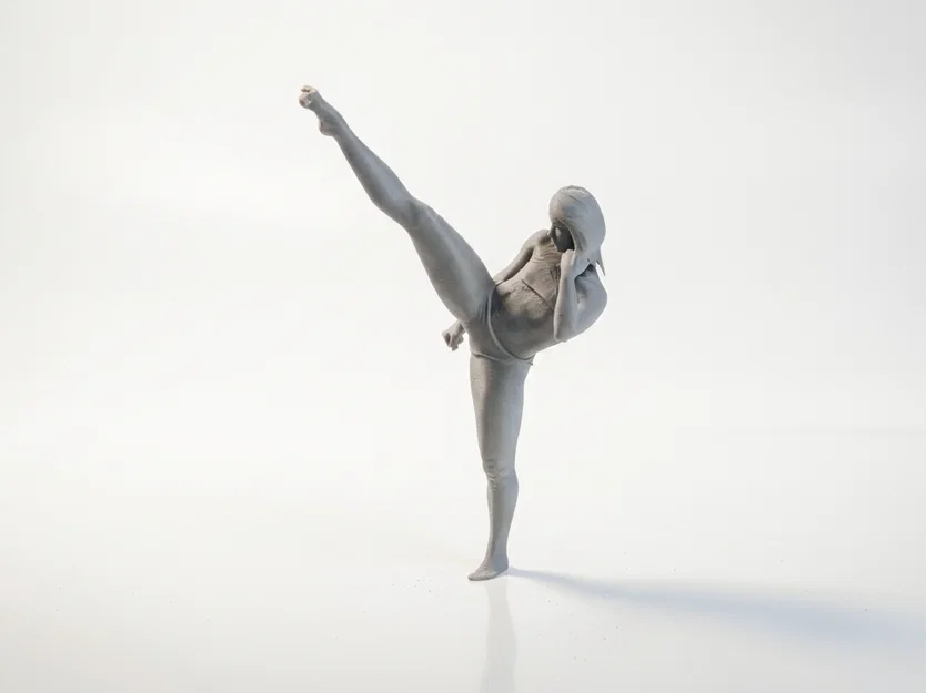 Mô hình 3D Nữ Võ Sĩ Karate In ấn được - Image 1