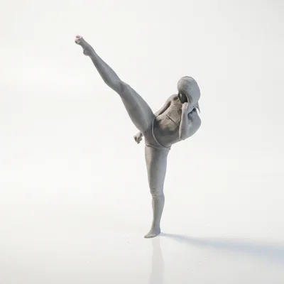 Mô hình 3D Nữ Võ Sĩ Karate In ấn được