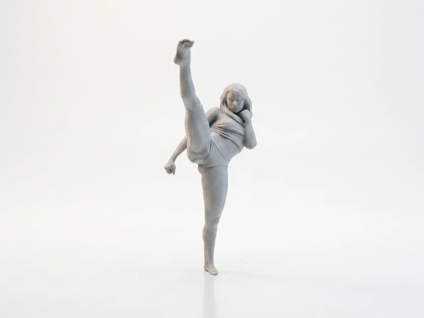 Mô hình 3D Nữ Võ Sĩ Karate In ấn được - Image 2