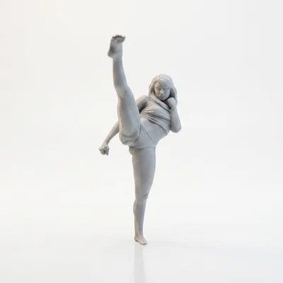 Mô hình 3D Nữ Võ Sĩ Karate In ấn được