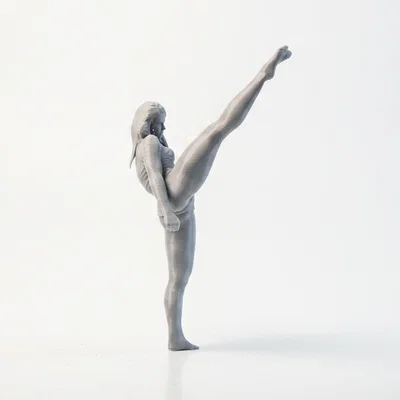 Mô hình 3D Nữ Võ Sĩ Karate In ấn được