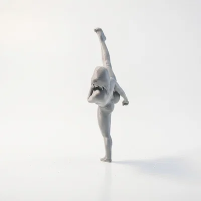 Mô hình 3D Nữ Võ Sĩ Karate In ấn được