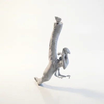 Mô hình 3D Nữ Võ Sĩ Karate Thực Hiện Cú Đá Cao