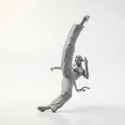 Mô hình 3D Nữ Võ Sĩ Karate Thực Hiện Cú Đá Cao