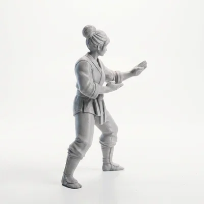 Mô hình Nữ Võ sĩ Karate 3D - Tượng võ thuật in ấn chất lượng cao