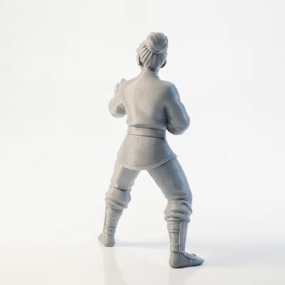 Mô hình Nữ Võ sĩ Karate 3D - Tượng võ thuật in ấn chất lượng cao